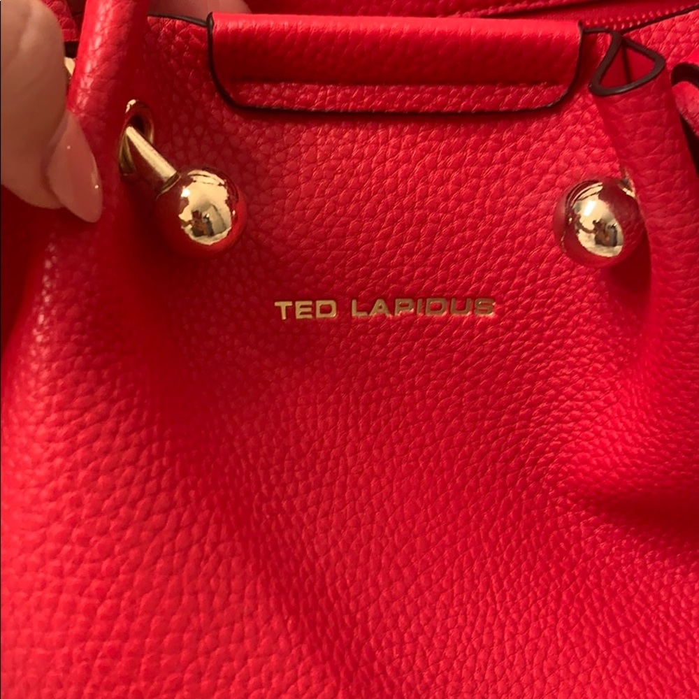 Bran new ted lapidus bag